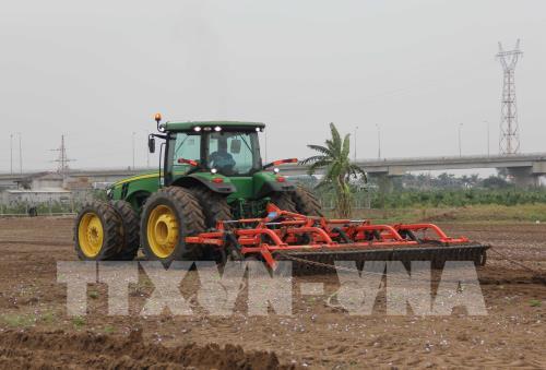 Hưng Yên hướng tới hình thành vùng sản xuất lớn trong nông nghiệp